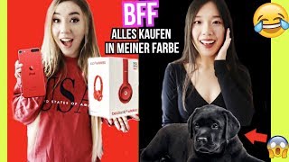 mit bff FARBEN CHallenge für 24 STUNDEN (alles KAUFEN was DU nur in der FARBE trägst)