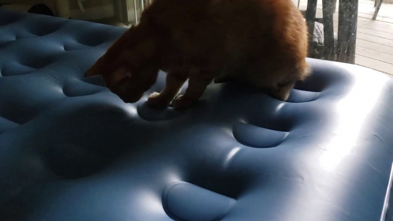 How to Find an Air Leak in a Aero bed Air Mattress lol YouTube