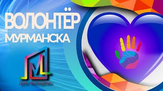 Волонтёры МУРМАНСКА