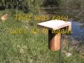 Openning a Bluebird nest box for inspection. Openning a Bluebird nest box for inspection.