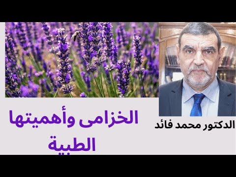 فيديو: هل فراشة الخزامى حقيقية؟