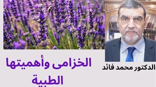 الدكتور محمد فائد || من أجل ثقافة علاجية : الخزامى وأهميتها الطبية