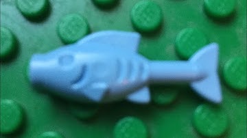 fish are friends not food