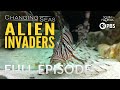 Alien Invaders - Full Episode