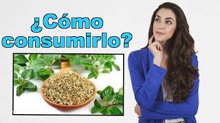 PARA QUE SIRVE EL TE DE OREGANO  Propiedades y 5 Grandes Beneficios Del Para La Salud