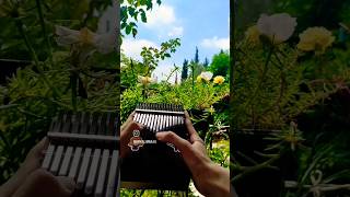 Gönül Kalimba Cover Notalı Fikret Kızılok