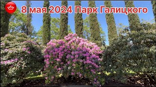 🎈☀️🌺8 мая 2024 Парк Галицкого Краснодар.