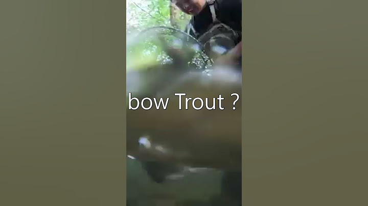 Kendall Gray   Can I Catch the State Record Rainbow Trout？