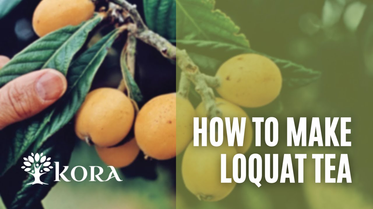 DIY with Kora - How to make loquat tea