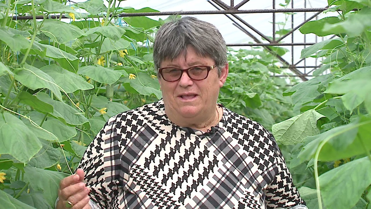 Top Channel/ Kooperativistja që u bë biznesmene. E nisi duke shitur domate në rrugë