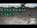 Cacti That Grow in Lakes thumbnail