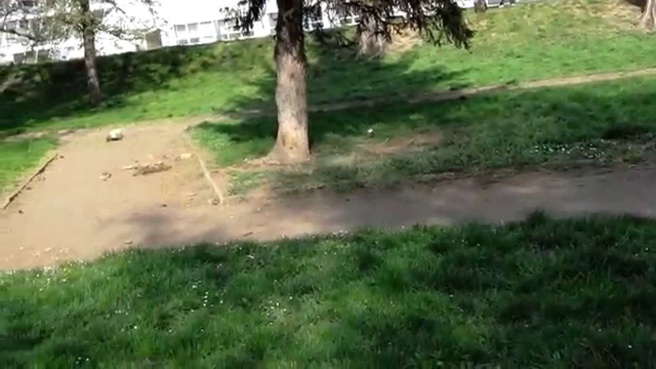 agama new electronics test lrp ix8, graupner gm race ultra