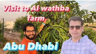 Al wathba farm Abu Dhabi