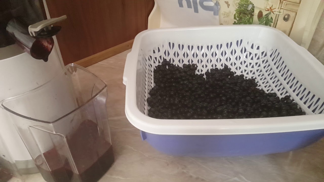 Slow Juicer 2019 Delimano Blueberry Juice 100 YouTube