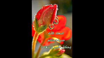 صبحكم الله بالخير 