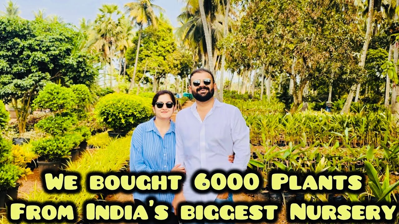 We bought 6000 plants from India’s biggest Nursery in Kadiyam 