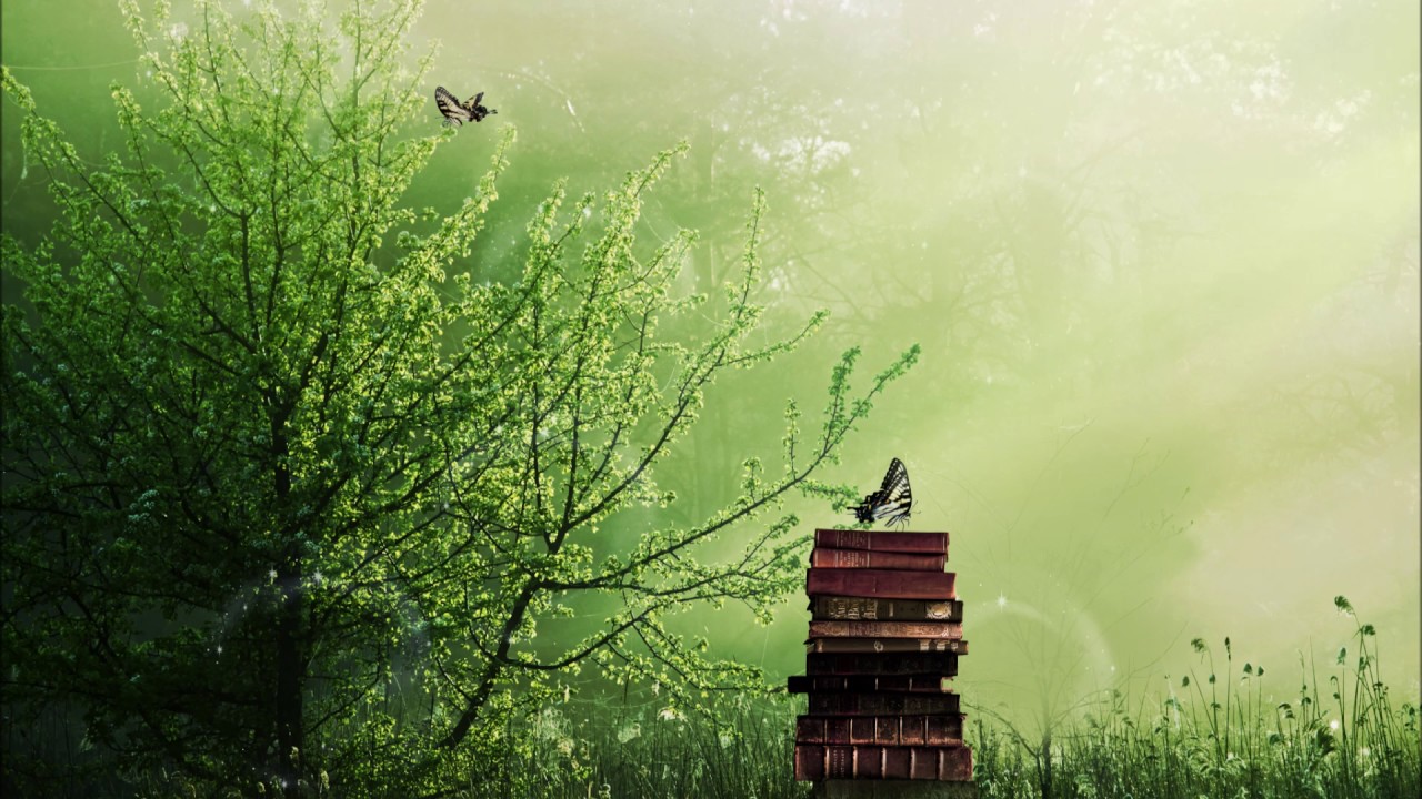 Al Pack & Solotek - Butterfly