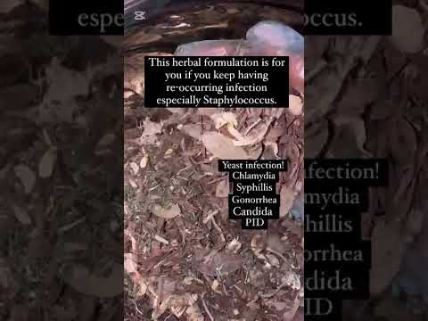 Best Natural Remedy For Yeast Infection, Syphilis, & e.t.c.  #yeastinfection #plants #shorts