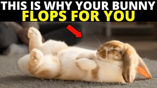 If Your Rabbit Flops for You, They're Trying to Tell You This...