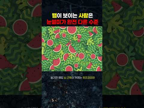 5초 안에 뱀 1마리를 찾으면 관찰력 천재