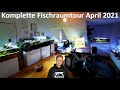 KOMPLETTE FISCHRAUMTOUR April 2021 - Überblick und Aussicht zu allen Projekten