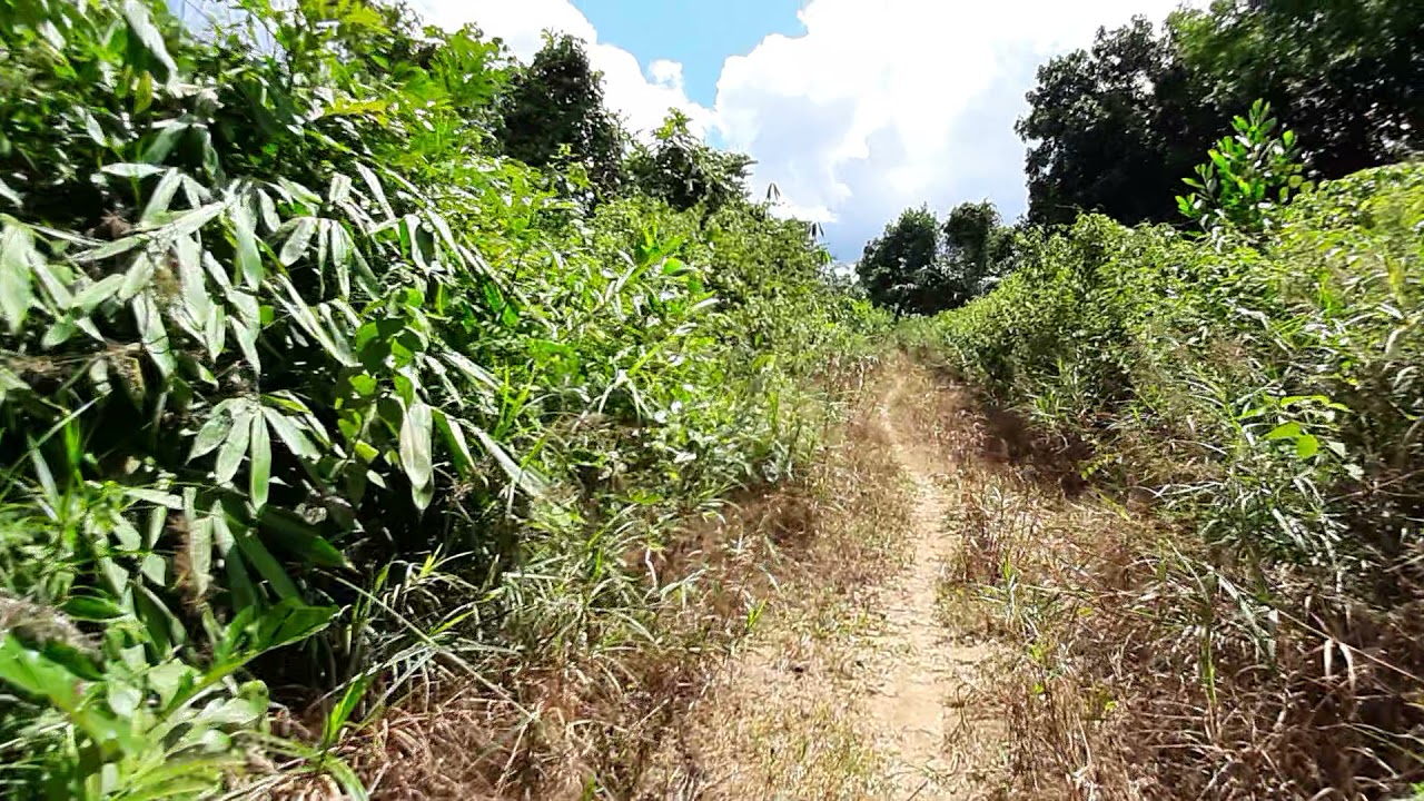 Bismillah lahan IKN Bumi Harapan Termurah 4.5 Hektar Pusat Ibukota