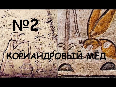 Видео: Лечебни свойства на меда в зависимост от това откъде е