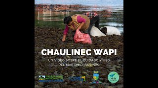 CHAULINEC WAPI  Cuidado y uso del mar en isla Chaulinec (Chiloé)