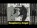 吉川晃司 RASPBERRY ANGEL guitar cover ギターコピー