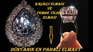 Dünyanın En Pahalı Elması - Kaşıkçı Elması vs Pembe Yıldız Elması