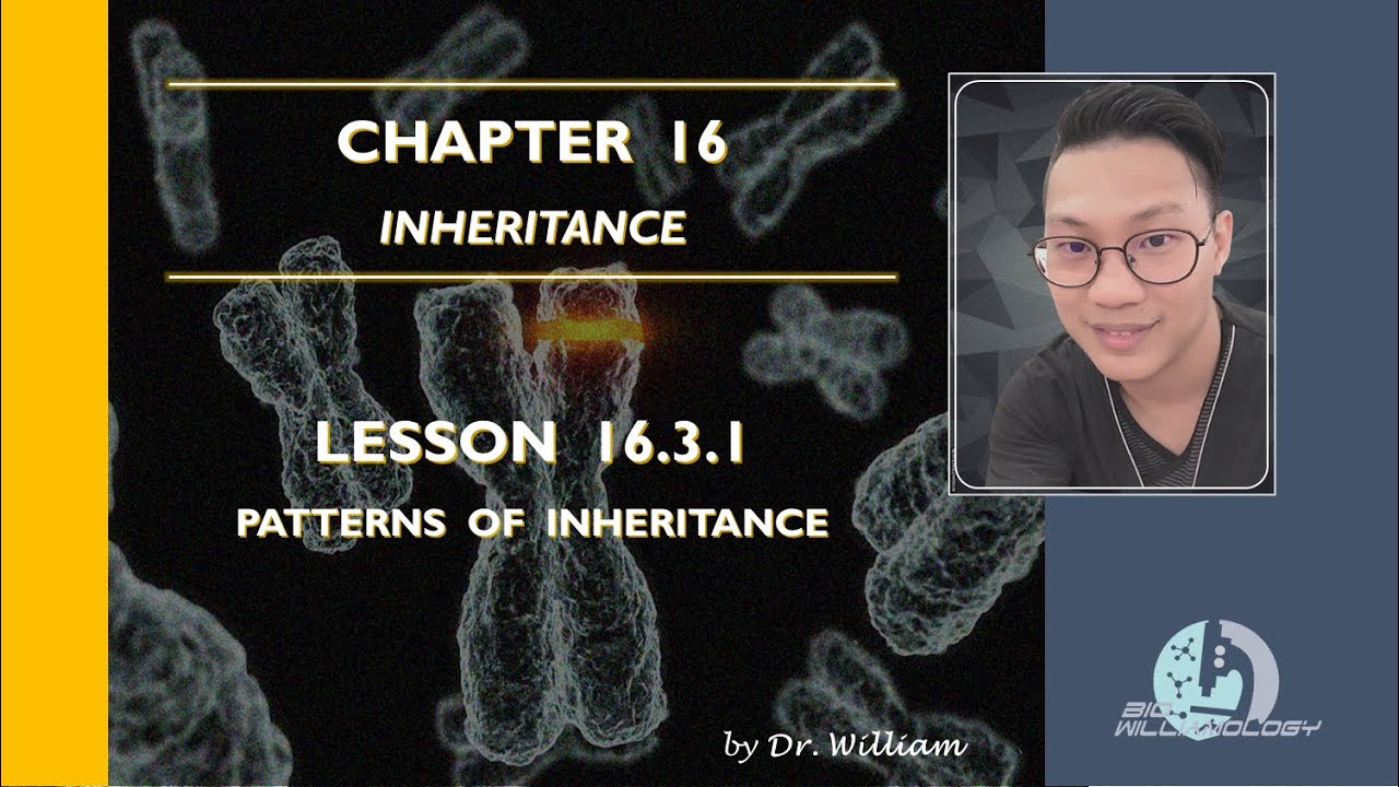 Lecture Series 16.3.1: Patterns of Inheritance | Dr. William - YouTube