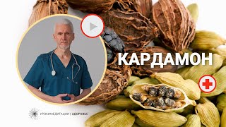 КАРДАМОН: раскрываем секреты