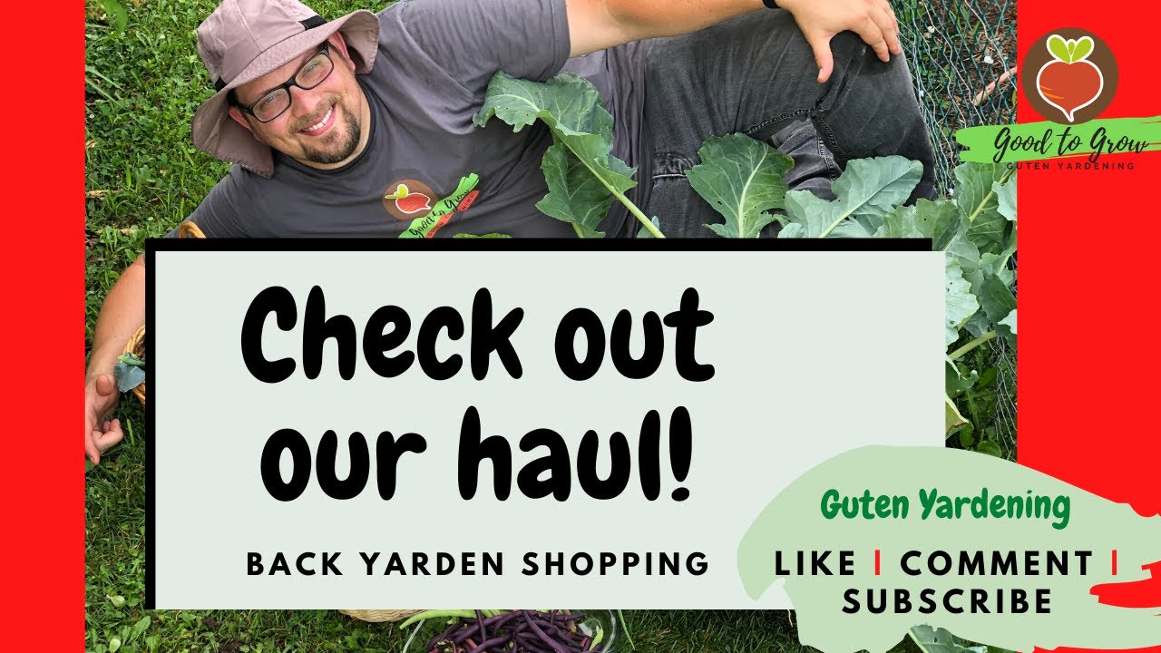 Healthy Grocery Haul from Backyard Garden | Urban Vegetable Garden Harvest Tour | July 2020 | Zone 5