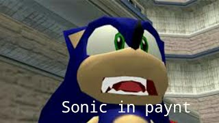 Sonic in paynt