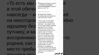 Сура 67:15 Имам Ибн аль-Кайим