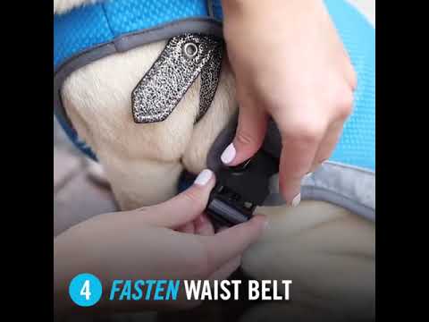 Canada Pooch Cooling Vest