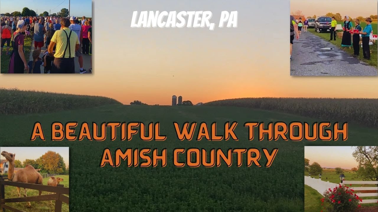 Walking in Amish Country The BirdinHand 5K Favorite Scenes 