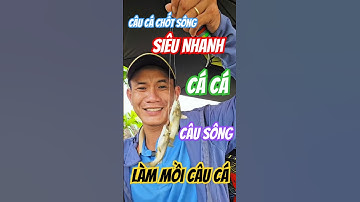 Câu cá chốt sông #fishing #caucathugian #fish #cauca
