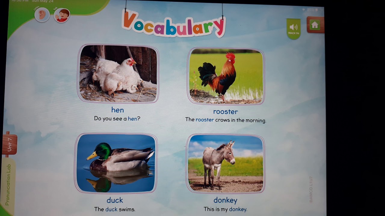 Vocabulary unit 7 C - YouTube