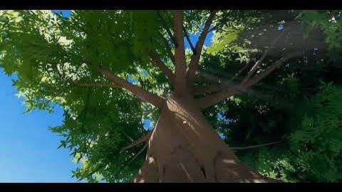 Stylized Tree Shader