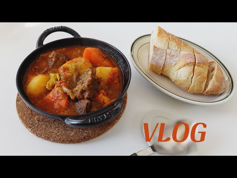 vlog. 집에서 칩거 생활하며 해 먹은 집밥 브이로그 / 낙원타코, 해돋이, 토마토 비프스튜, 가지덮밥 / 자취 일상 브이로그
