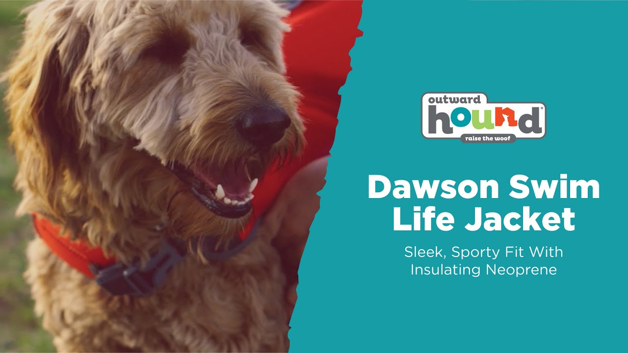 outward hound dawson dog life jacket