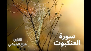 Hazza Al-Balushi Surah Al-'Ankabut سورة العنكبوت بصوت القارئ هزاع البلوشي، تلاوة هادئة وجميلة
