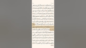 سورة نوح من ٢٣ إلى ٢٨