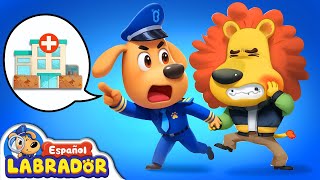 🔍Sheriff Labrador - Dentista 🦷 | Videos para Niños | BabyBus en Español