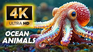 Aquarium 4K VIDEO ULTRA HD 🐠 Beautiful Relaxing Coral Reef Fish  Relaxing Sleep Meditation Music
