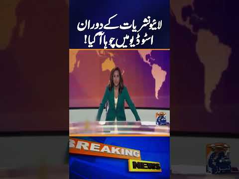 Rat Came Into The Studio During A Live Broadcast Geo News