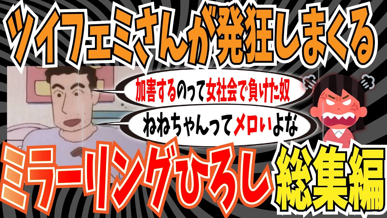【火の玉ストレート】ミラーリングひろしにフルボッコにされて涙目敗走するツイフェミさん総集編【ゆっくり ツイフェミ】