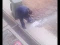 Nyarko in Action