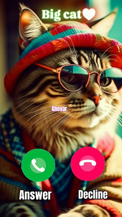#ringtone #nadaderingtelepon #smartphone #ringtones #music #bgm #smartphoneringtones #cat #rington